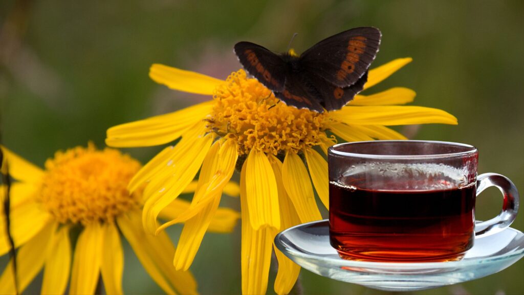 what-happens-to-your-body-when-you-drink-herbal-tea-com