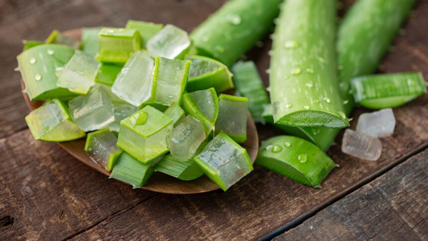 can-you-eat-aloe-vera-raw