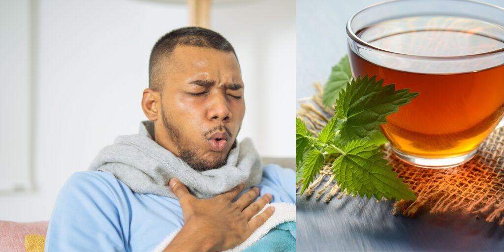 what-herbs-are-good-for-cough-and-congestion