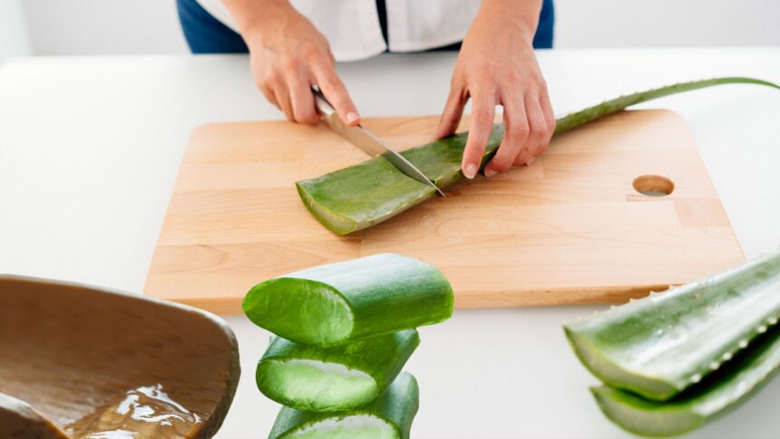 which-part-of-aloe-vera-has-medicinal-value