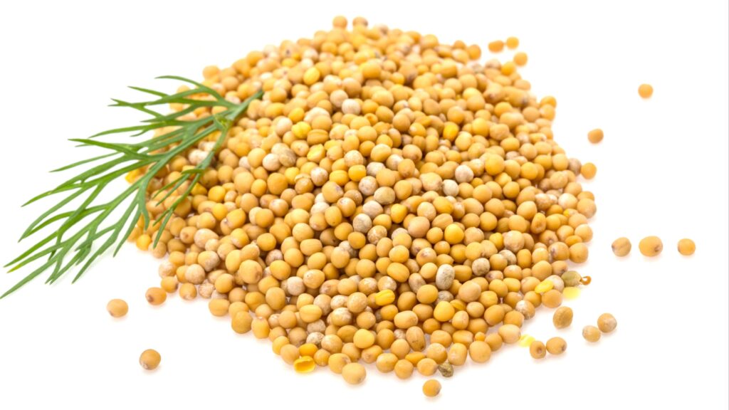 17 Benefits of Mustard Seed