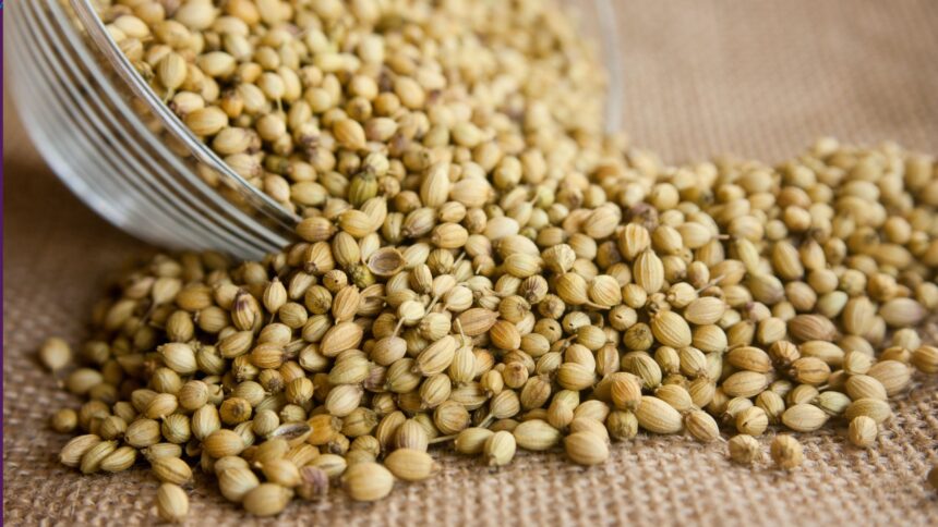 Grandma's Coriander Seeds