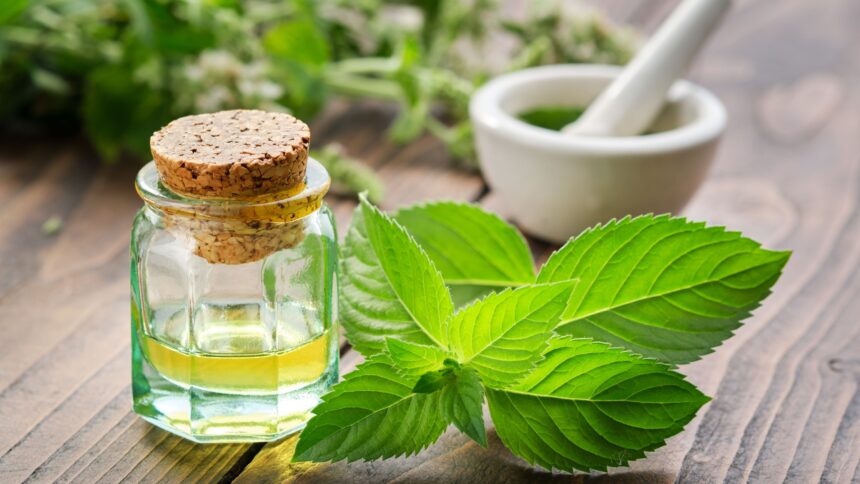 How to Make Peppermint Oil Spray