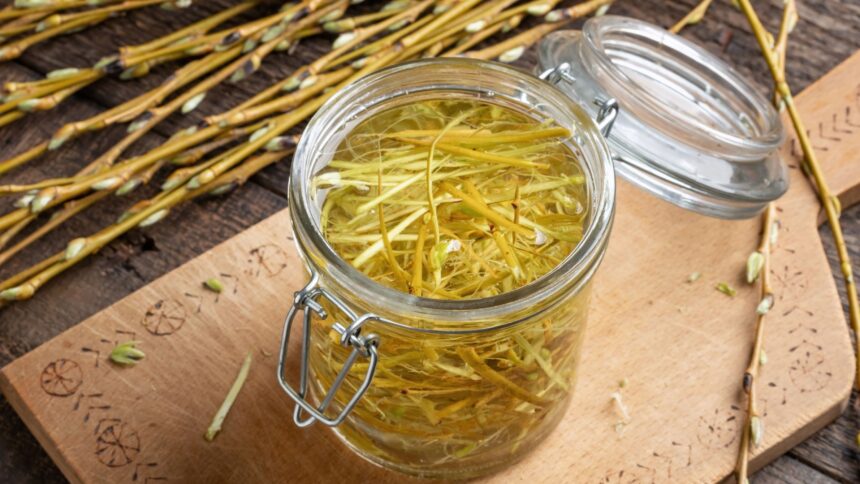 How to Make Willow Bark Tea