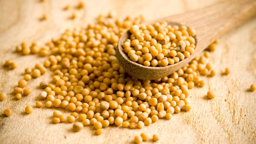 17 Benefits of Mustard Seed