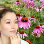 Echinacea Benefits for Skin Whitening