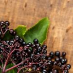 What Does Elderberry Taste Like