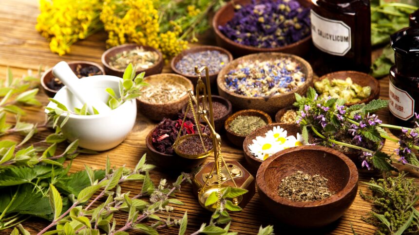 How Can I Use Herbs in My Daily Life?