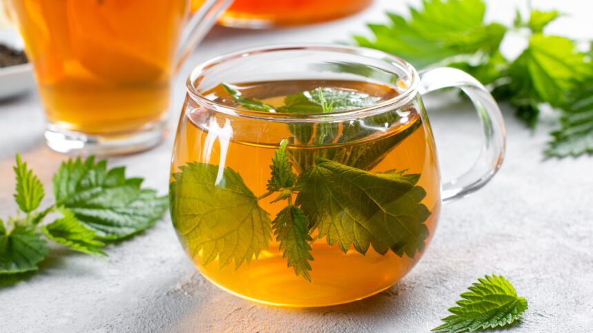 Does Nettle Tea Contain Caffeine?