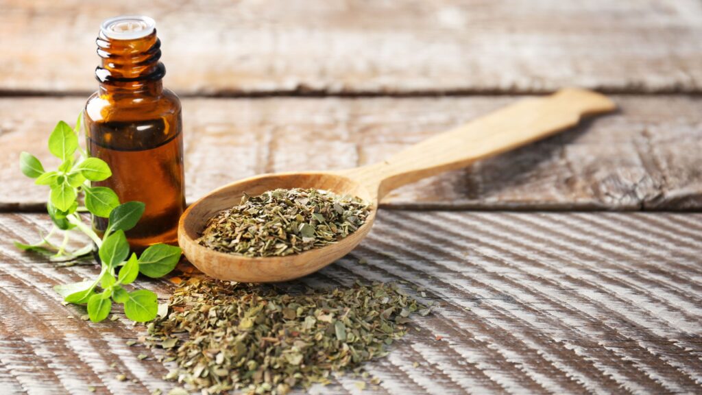 How to Make Oregano Oil