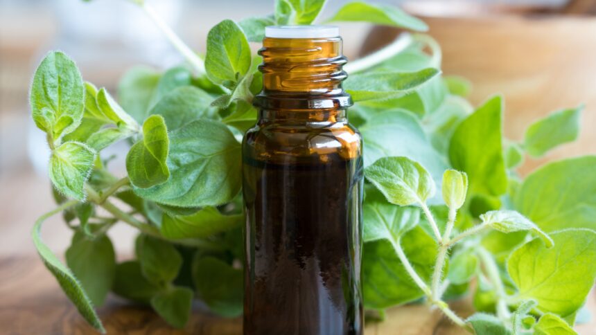 How to Make Oregano Oil