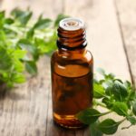 how to use oregano oil for sinus infection