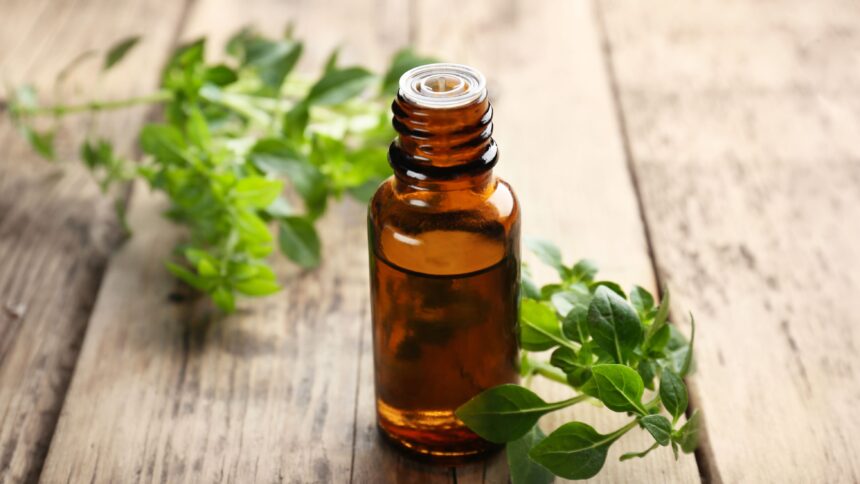 how to use oregano oil for sinus infection