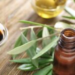 olive-leaf-extract-benefits-hair